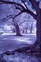 46670610.IMG 0478 46670610.IMG 0478