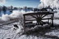 46765450.IMG 0486 46765450.IMG 0486