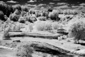 46851937. MG 0518 46851937. MG 0518