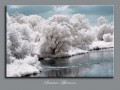MG 6138IR miniA2 MG 6138IR miniA2