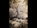 R DSC 1232 R DSC 1232