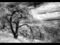 Resize DeborahSandidge1 Resize DeborahSandidge1